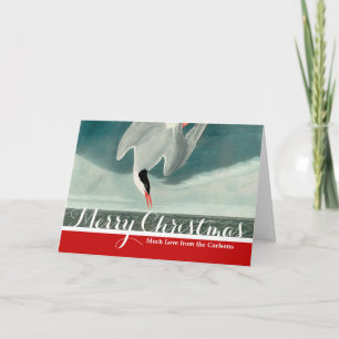 Arctic Tern Audubon Bird Wildlife Painting Feiertagskarte