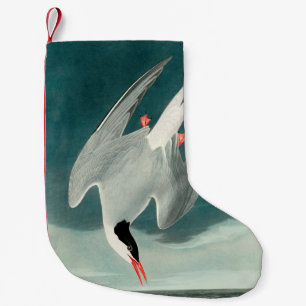 Arctic Tern Audubon Bird Wildlife Painting Kleiner Weihnachtsstrumpf