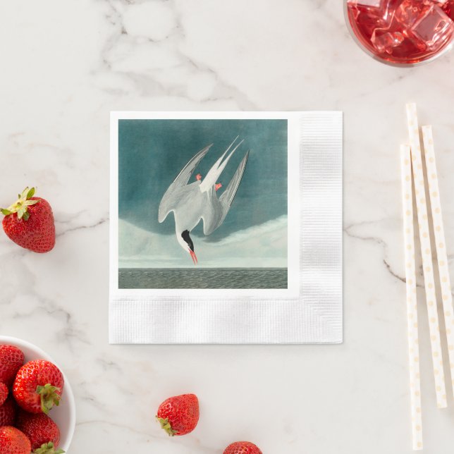 Arctic Tern Audubon Bird Wildlife Painting Serviette (Beispiel)