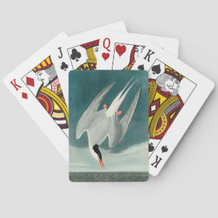 Arctic Tern Audubon Bird Wildlife Painting Spielkarten