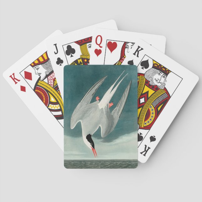 Arctic Tern Audubon Bird Wildlife Painting Spielkarten (Rückseite)