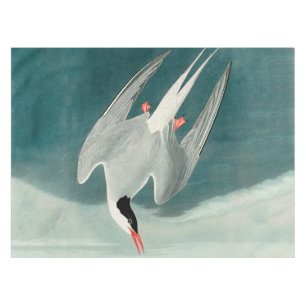 Arctic Tern Audubon Bird Wildlife Painting Tischdecke