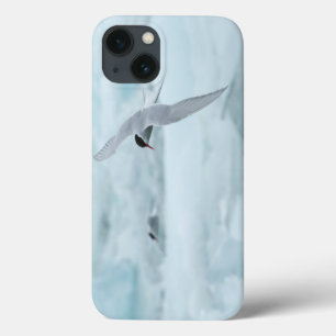 Arctic Terns iPad Air Hüllen von RoseWrites