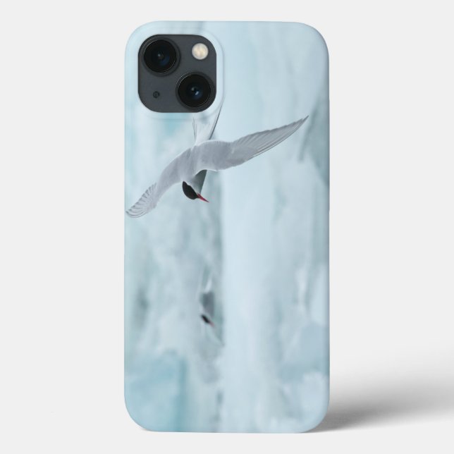 Arctic Terns iPad Air Hüllen von RoseWrites (Rückseite)