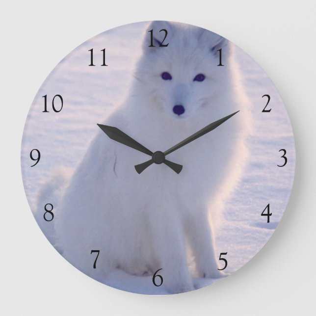 Arctic White Fox Winter Alaska Foto entworfen Große Wanduhr (Vorderseite)