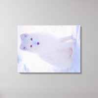 Arctic Winter White Fox Vibranly Color Foto Design