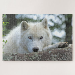 ARCTIC WOLF 20x30 INCH