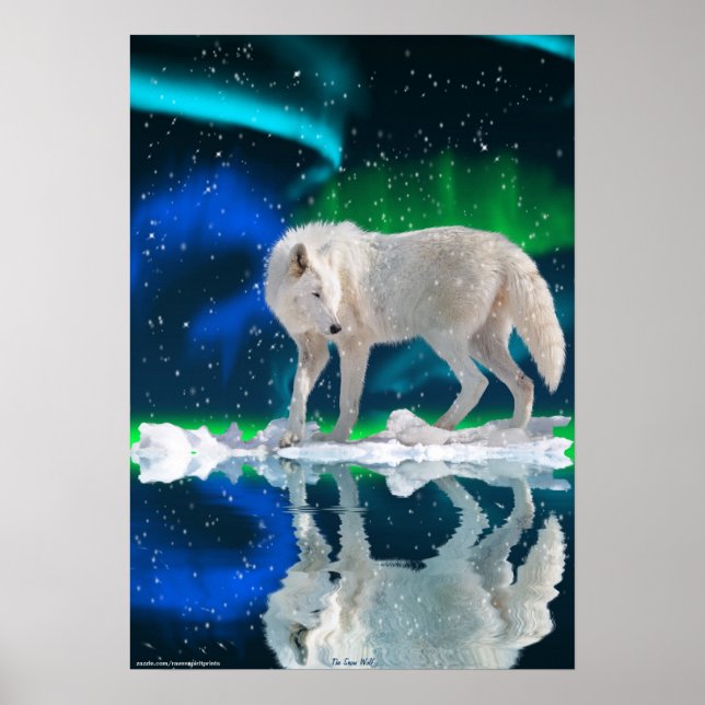 Arctic Wolf, Aurora affiche d'art faunique (Devant)