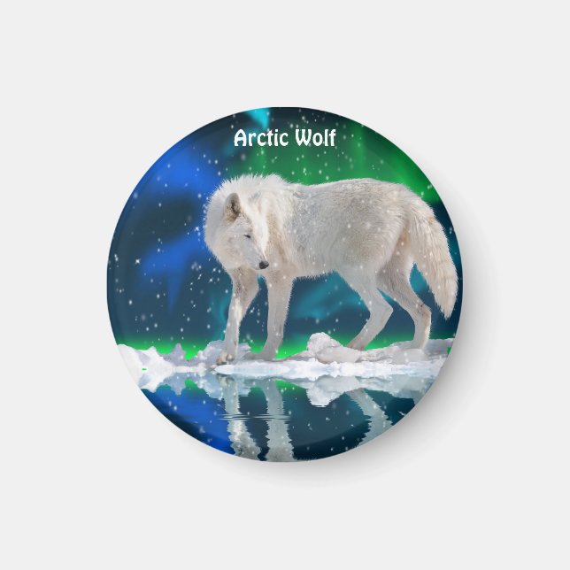 Arctic Wolf & Aurora Wildlife Collection Magnet (Vorne)