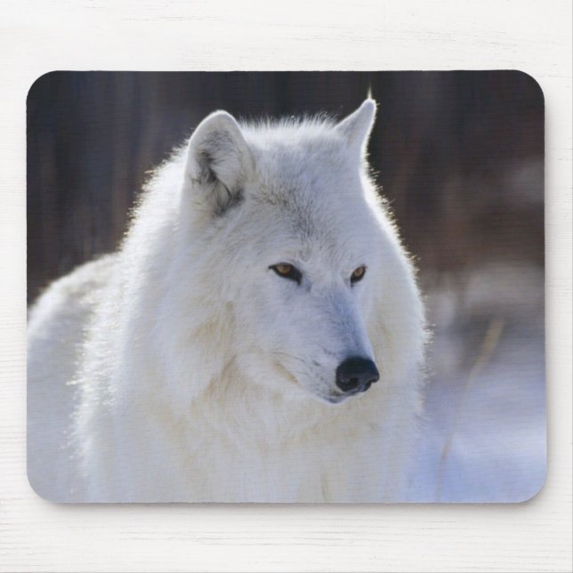 Arctic Wolf Mousepad (Vorne)