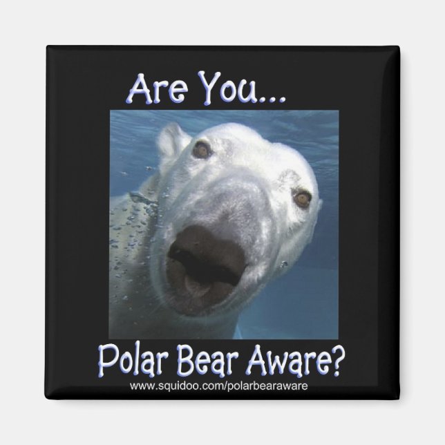 Are_you_polar_bear_aware_aware__aware Magnet (Vorne)