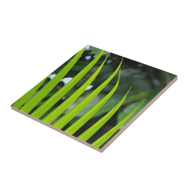 Areca Palm Frond Fliese (Seite)