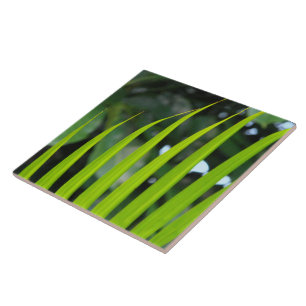 Areca Palm Frond Fliese
