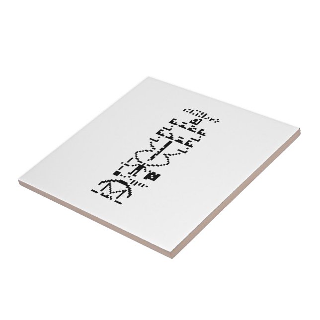 Arecibo Binary Message 1974 Fliese (Seite)