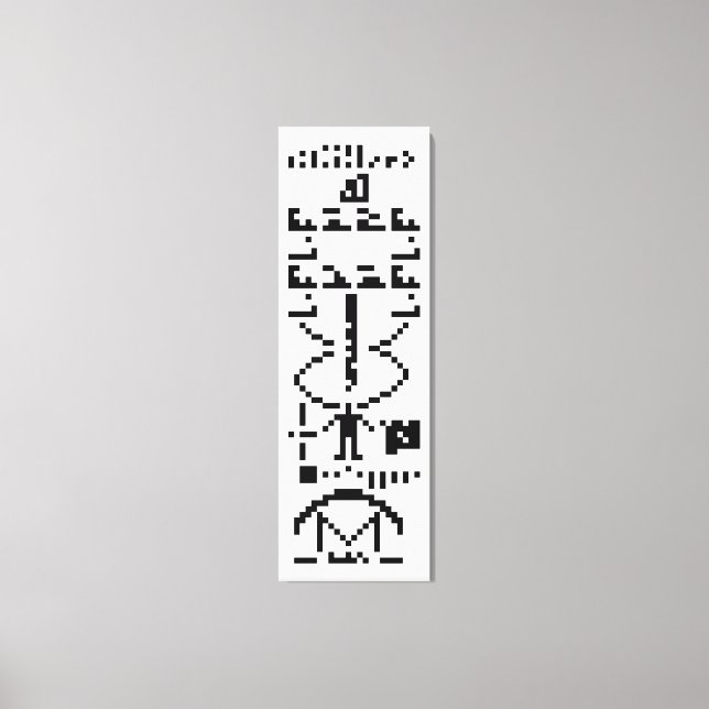 Arecibo Binary Message 1974 Leinwanddruck (Vorderseite)