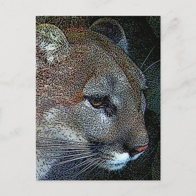 Arful Nature Cougar Postcard Postkarte (Vorderseite)