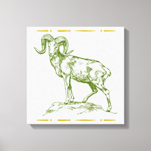 Argali Leinwanddruck (Vorderseite)