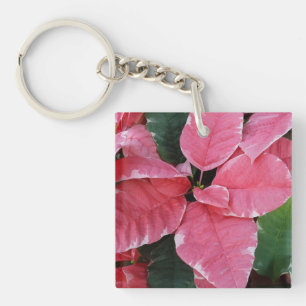 Argent Star Marbre Poinsettias Pink Holiday Floral