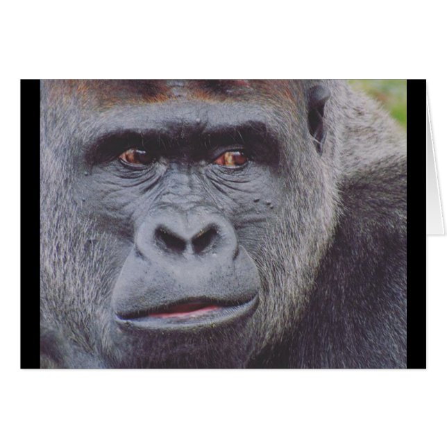 argenté (Devant horizontal)