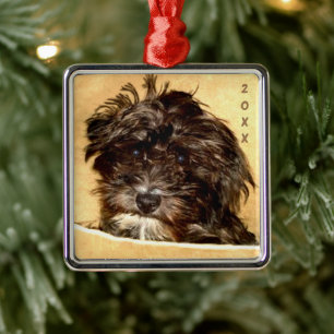 Argenté Ornement carré premium Schnoodle