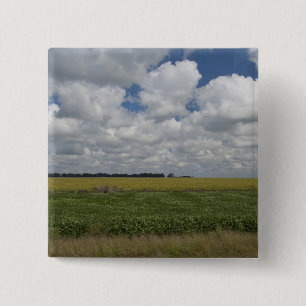 Argentinien, Buenos Aires, San Antonio de Areco. Button