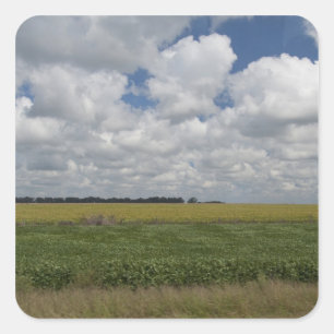 Argentinien, Buenos Aires, San Antonio de Areco. Quadratischer Aufkleber