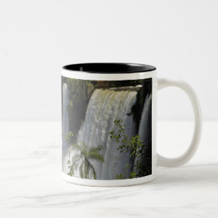 Argentinien, Iguacu-Fälle in der Sonne. Zweifarbige Tasse