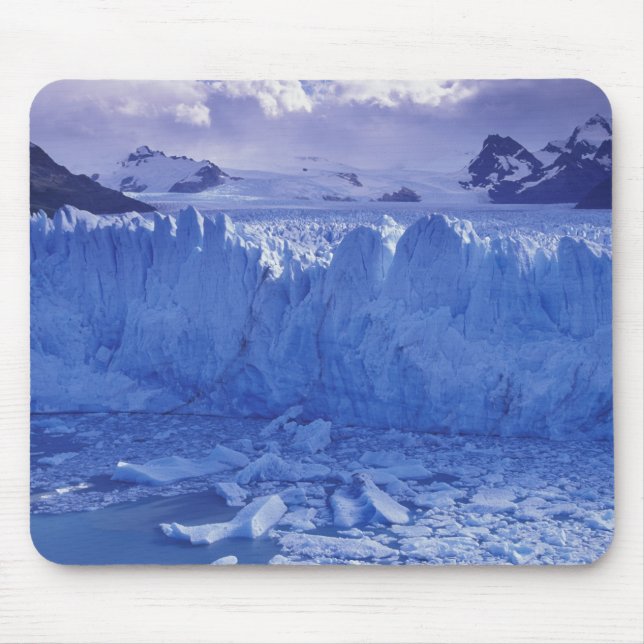 Argentinien, Patagonien, Parque Nacional los Mousepad (Vorne)