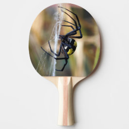 Argiope-Garten-Spinnen-Klingeln Pong Paddel Tischtennis Schläger