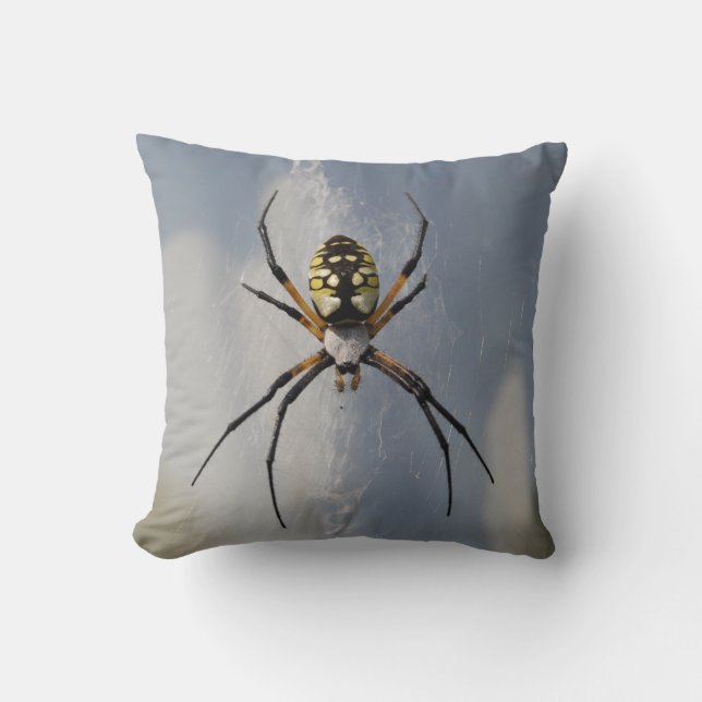 Argiope-Spinnenkissen Kissen (Vorderseite)