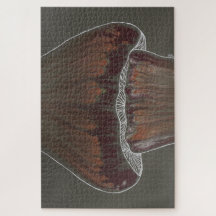 Aria des Unterwachstums