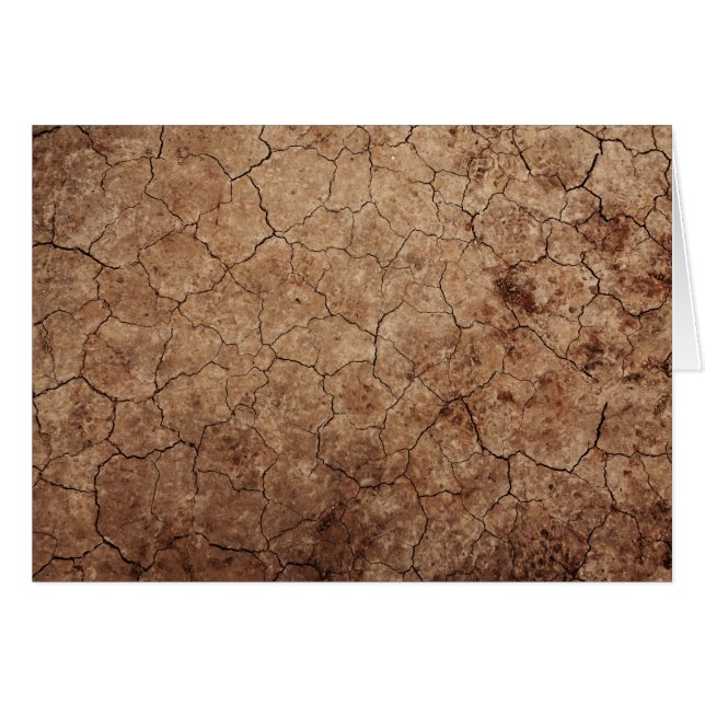Arid Dry Cracked Earth (Vorderseite (Horizontal))