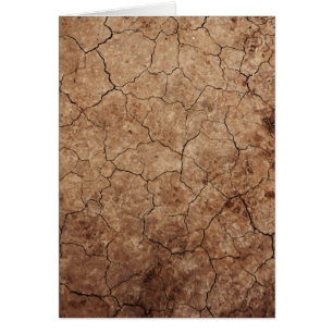 Arid Dry Cracked Earth