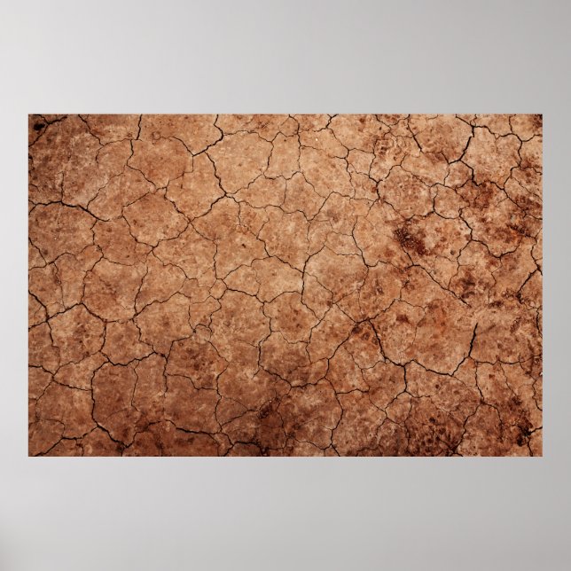 Arid Risse der Erosion Risse Wüste Poster (Vorne)