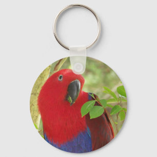 Arie großartiger Eclectus Papagei Schlüsselanhänger