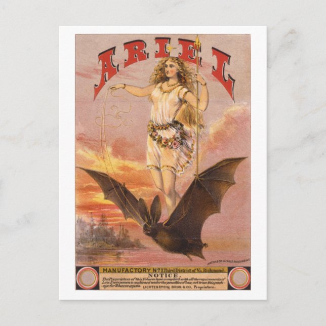 Ariel auf einem Bat Postkarte (Vorderseite)