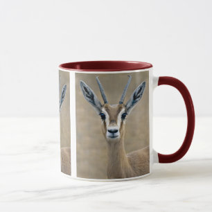Ariel Tasse