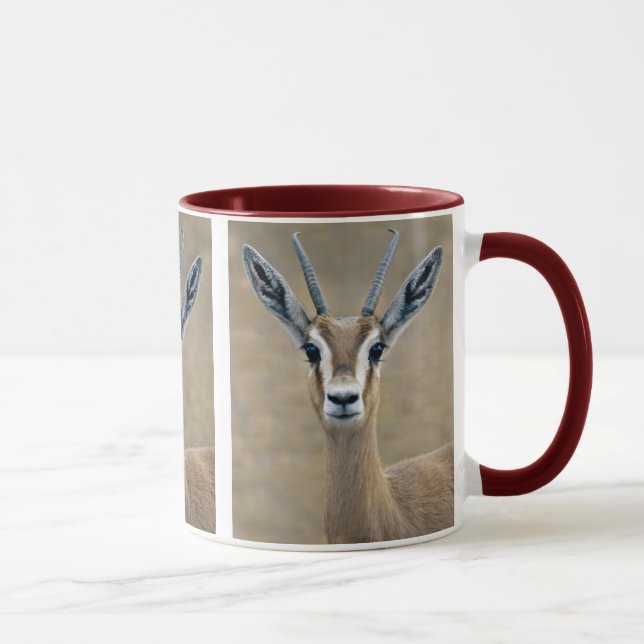 Ariel Tasse (Rechts)