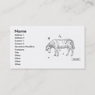 Aries Business Card Visitenkarte