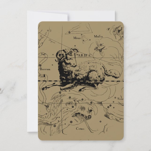 Aries Constellation Map Gravur von Hevelius (Vorderseite)