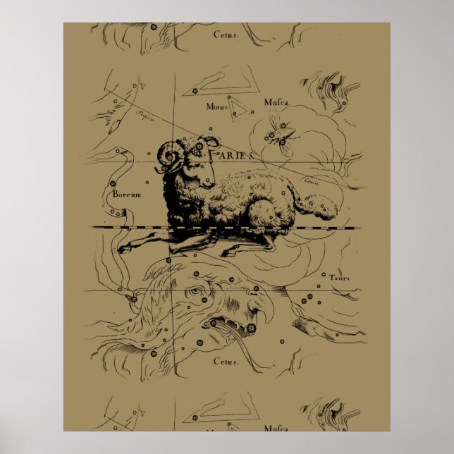Aries Constellation Map Hevelius circa 1690 Poster (Vorne)
