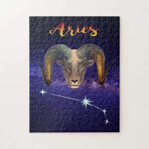 ARIES DES RAM
