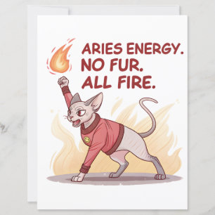 Aries Energy Sphynx Katze Ohne Fell Alles Feuer Ku