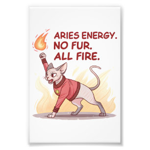 Aries Energy Sphynx-Katze Ohne Fell Alles Feuer Ku Fotodruck