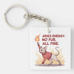 Aries Energy Sphynx Katze Ohne Fell Alles Feuer Ku Schlüsselanhänger
