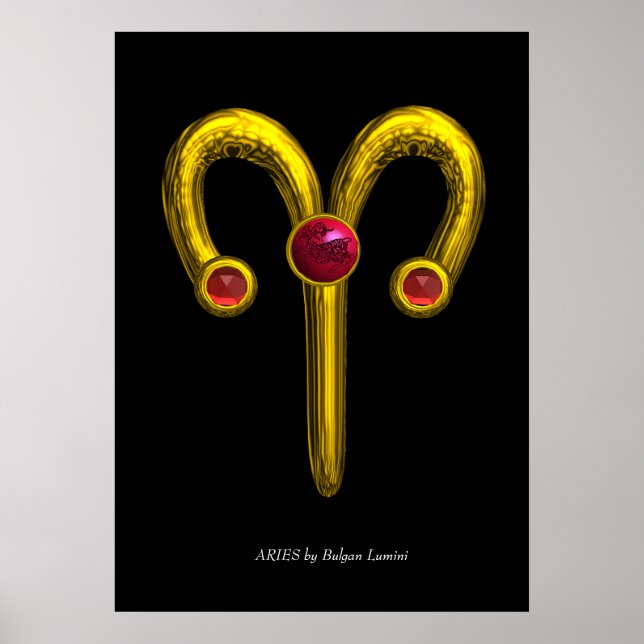 ARIES POSTER (Vorne)
