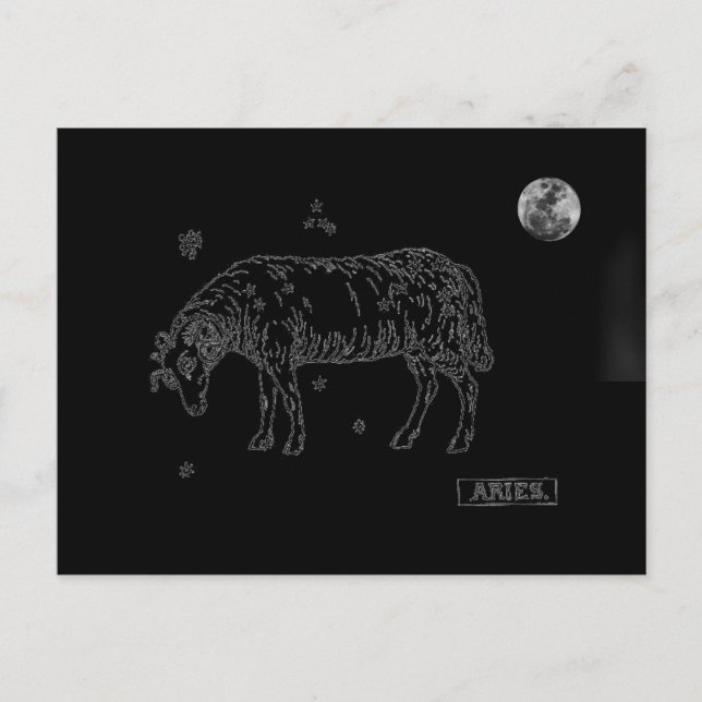 Aries Postkarte (Vorderseite)