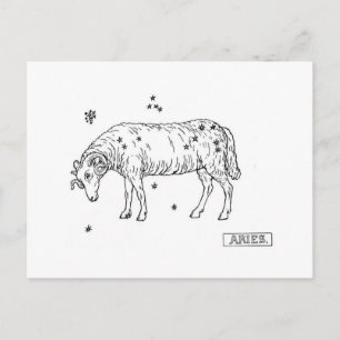 Aries Postkarte
