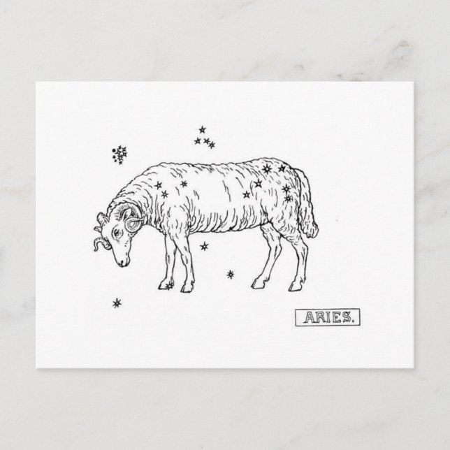 Aries Postkarte (Vorderseite)