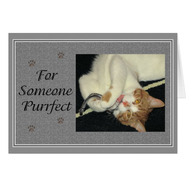 Aries Purrfect (Devant horizontal)